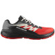 Salomon Alphaglide GTX